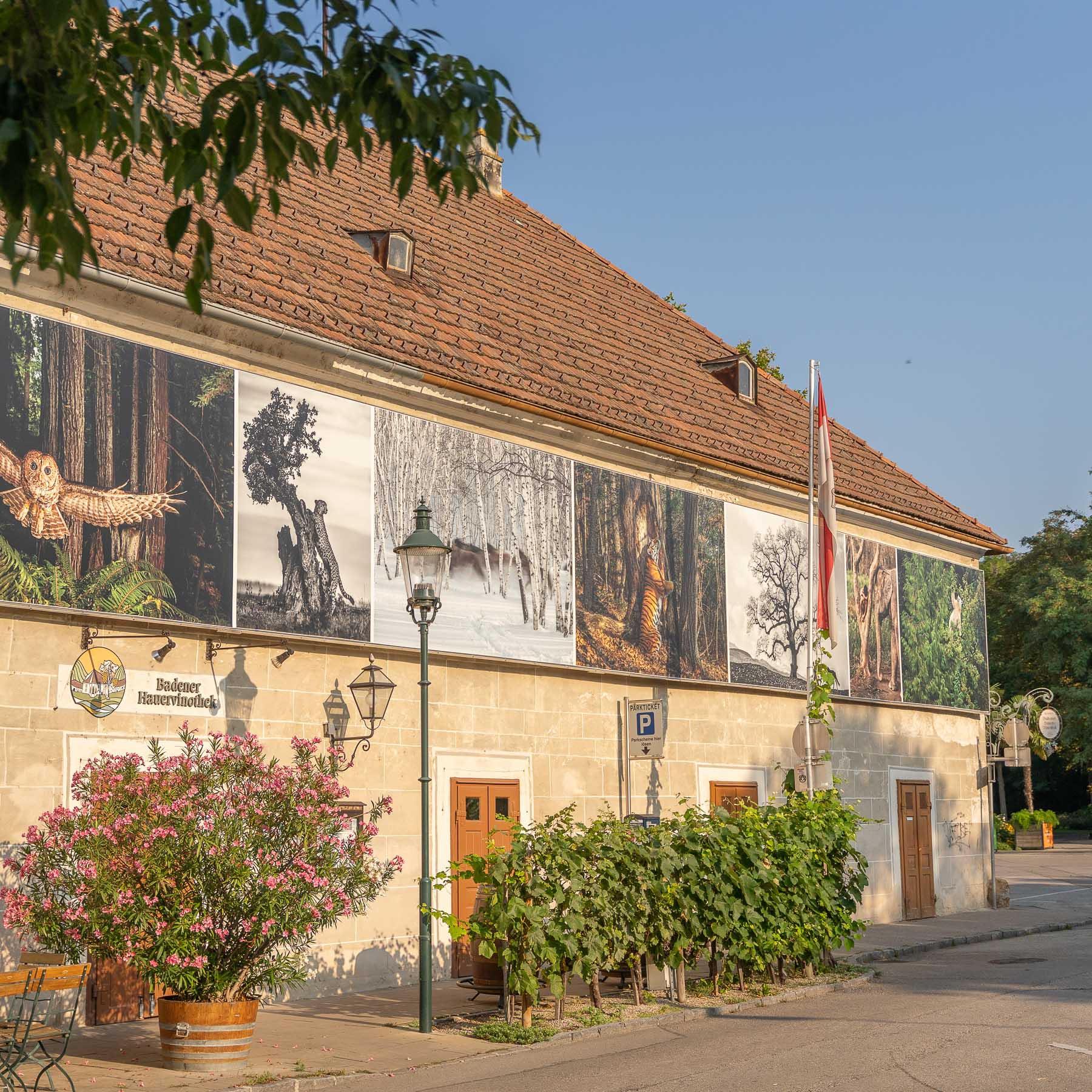 Brusattiplatz-2-2